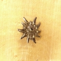 Ansteck-Pin<br>Edelweiss-Brosche II klein