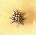 Ansteck-Pin<br>Edelweiss-Brosche II mittel